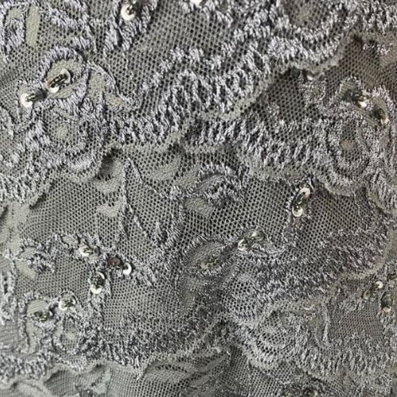 Blu Sage Medium Gray Lace Cocktail Evening Dress With Sequins Size 12 EUC - Picture 7 of 10